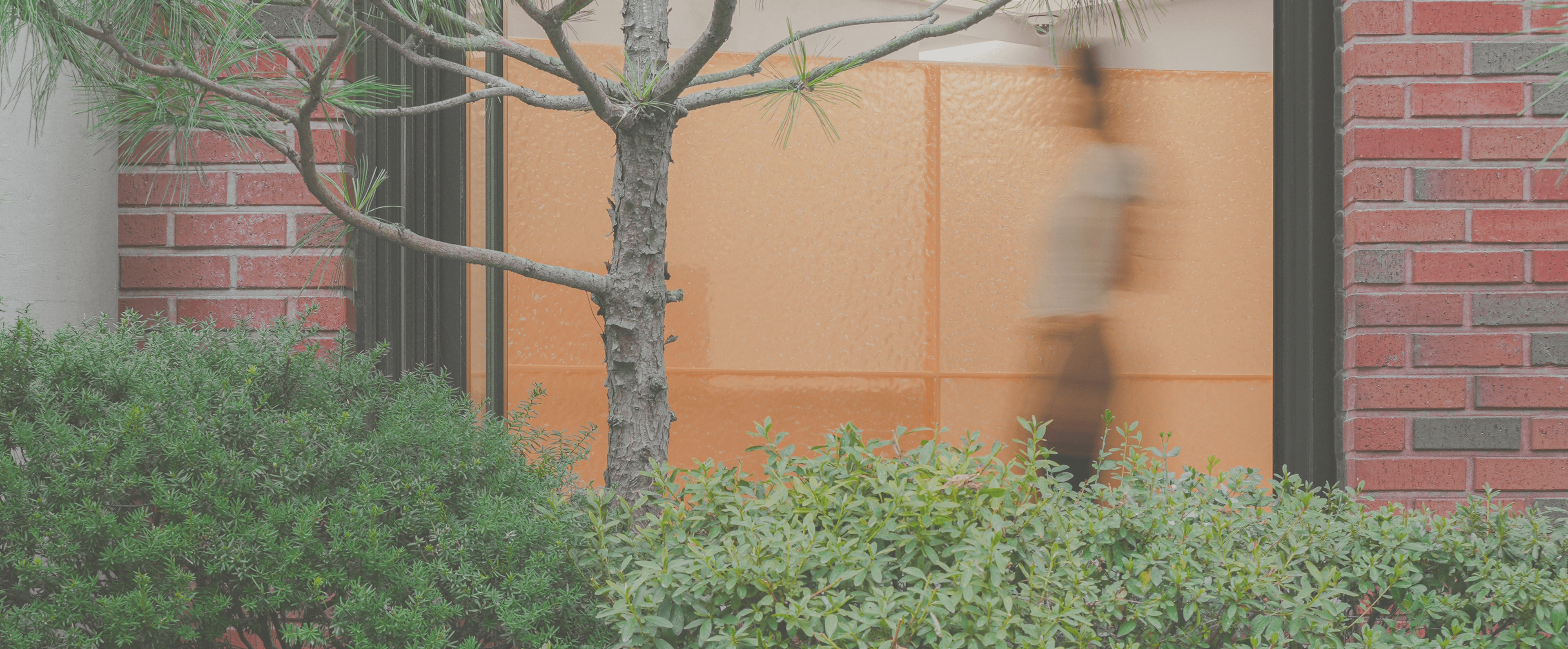 Start Your Healing Today